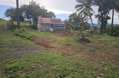 Terrain plat avec maisonnette à démolir.