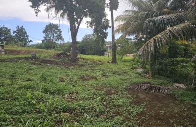 Terrain en pente, Bourg du Morne des Esses - SAINTE-MARIE