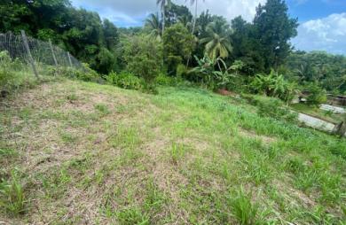 Vente Terrain 1239m&sup2; Le Robert