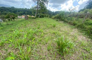 Vente Terrain 1239m&sup2; Le Robert