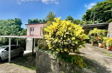 Vente Maison 239m&sup2; 9 pièces Le Morne Vert