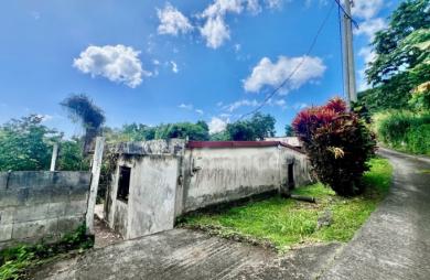Vente Maison 239m&sup2; 9 pièces Le Morne Vert