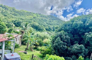 Vente Maison 239m&sup2; 9 pièces Le Morne Vert