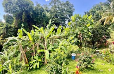 Vente Maison 239m&sup2; 9 pièces Le Morne Vert