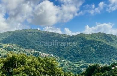 Vente Maison 239m&sup2; 9 pièces Le Morne Vert