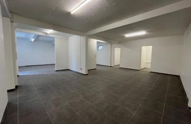 Location Local commercial Le Lamentin