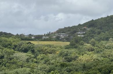Terrain - 3361 m2 - LE MARIN