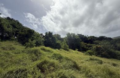 Terrain - 3361 m2 - LE MARIN