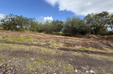 Terrain constructible, vue montagne Pelée - 442 M2 - SAINT-PIERRE