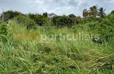 Vente Terrain 1735m² Sainte Anne