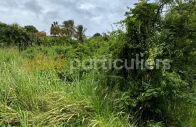 Vente Terrain 1735m² Sainte Anne