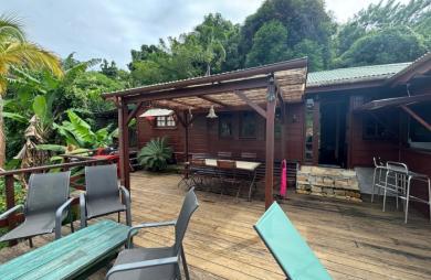 Ensemble 4 habitations + 4 piscines - Terrain 4845m2 - RIVIERE PILOTE