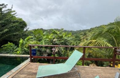 Ensemble 4 habitations + 4 piscines - Terrain 4845m2 - RIVIERE PILOTE