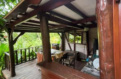 Ensemble 4 habitations + 4 piscines - Terrain 4845m2 - RIVIERE PILOTE