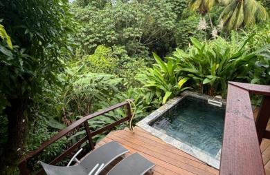 Ensemble 4 habitations + 4 piscines - Terrain 4845m2 - RIVIERE PILOTE