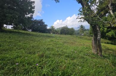 Terrain à bâtir de 1353 m2 dont 751 m2 constructibles - LE ROBERT