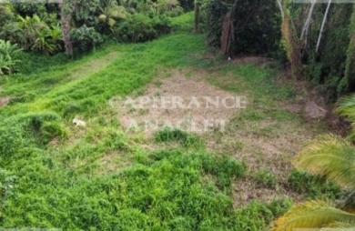Vente Terrain 2500m&sup2; Le Lamentin