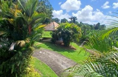 Vente Maison 260m&sup2; 7 pièces Ducos