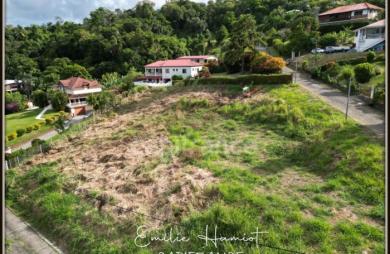 Vente Terrain 2822m&sup2; La Trinité