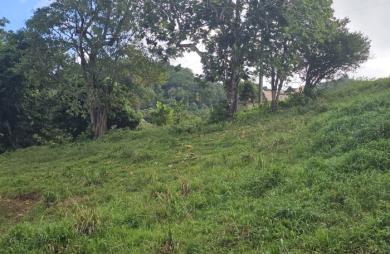 Terrain à bâtir de 1353 m2 dont 751 m2 constructibles - LE ROBERT