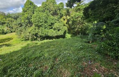Terrain à bâtir de 1353 m2 dont 751 m2 constructibles - LE ROBERT