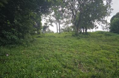 Terrain à bâtir de 1353 m2 dont 751 m2 constructibles - LE ROBERT