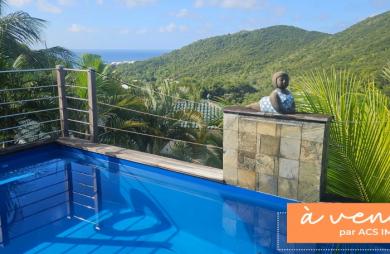 Magnifique villa F4 avec  piscine, vue mer et garage en parfaite état