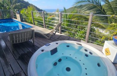 Magnifique villa F4 avec  piscine, vue mer et garage en parfaite état