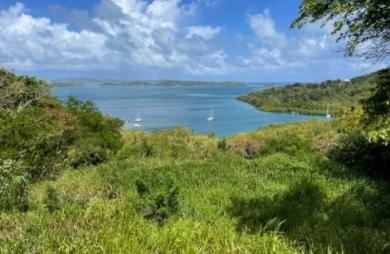 Vente Terrain 1300m&sup2; Le Robert