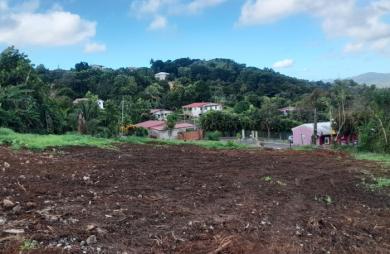 Terrain à vendre au quartier Desmarinières - RIVIERE-SALEE