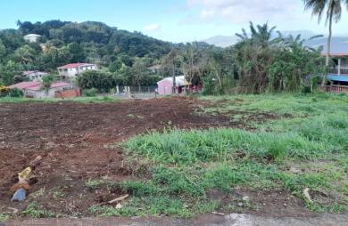 Terrain à vendre au quartier Desmarinières - RIVIERE-SALEE