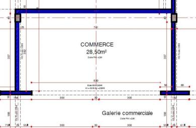 Location Divers Le Lamentin