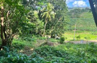 Vente Terrain 500m&sup2; Le Lamentin