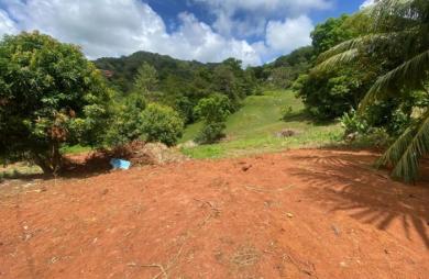 Vente Terrain 815m&sup2; Le Vauclin