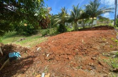 Vente Terrain 815m&sup2; Le Vauclin