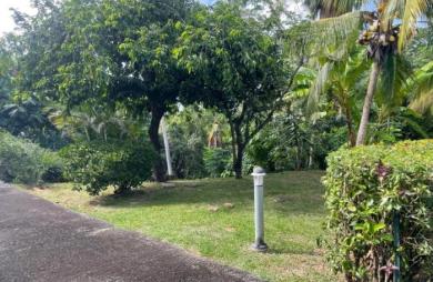Location Appartement 30m&sup2; 1 pièce La Trinité