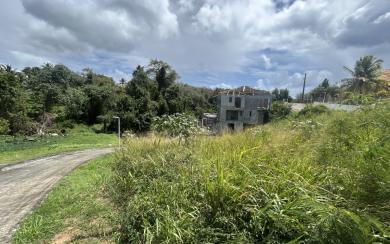 Sainte Luce Terrain pentu de 714 m2 dans lotissement : 230k€