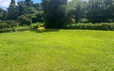 Le Gros-Morne Terrain 4 435 m² 472 500 € FAI