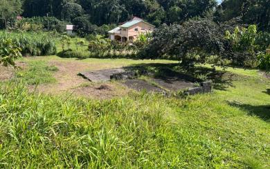 Le Gros-Morne Terrain 4 435 m² 472 500 € FAI