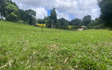 Le Gros-Morne Terrain 4 435 m² 472 500 € FAI