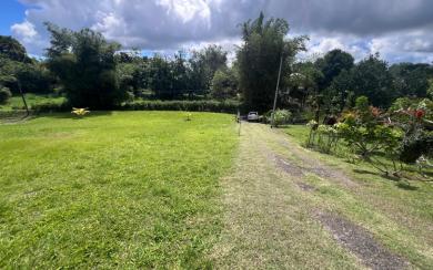 Le Gros-Morne Terrain 4 435 m² 472 500 € FAI