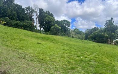 Le Gros-Morne Terrain 4 435 m² 472 500 € FAI