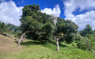 Le Gros-Morne Terrain 4 435 m² 472 500 € FAI