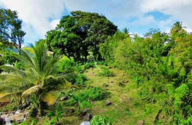 Vente Terrain 864m² Sainte Luce