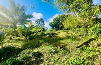 Vente Terrain 864m² Sainte Luce