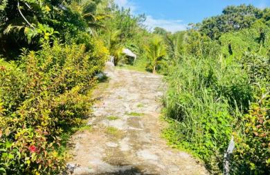 Vente Terrain 864m² Sainte Luce