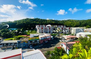 À Vendre   Ensemble Immobilier à réinventer   Bourg du Marin