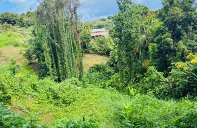 Vente Terrain 1320m&sup2; Sainte Marie