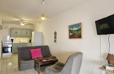 VILLA CREOLE 4 LOGEMENTS VUE MER