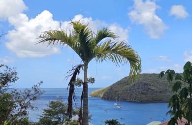 VILLA CREOLE 4 LOGEMENTS VUE MER